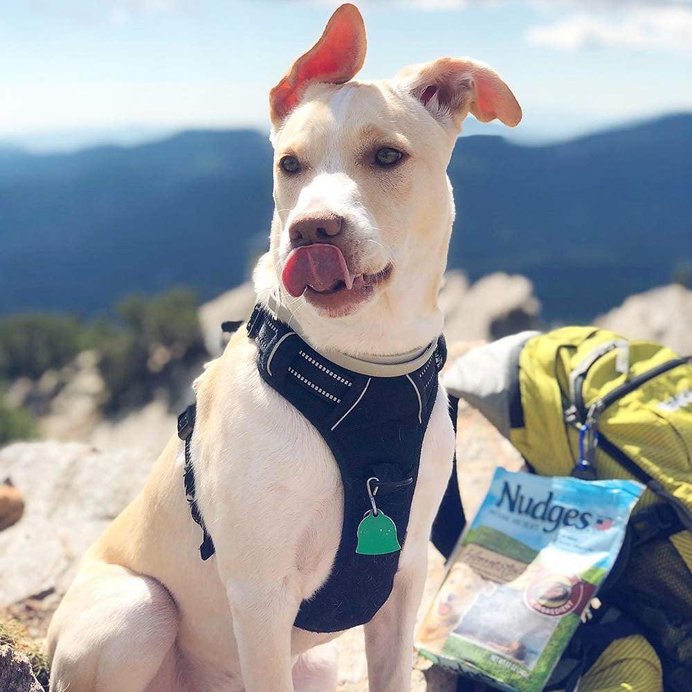 Rabbitgoo Dog Harness NoPull Adjustable Safe Comfort Pet Vest Easy