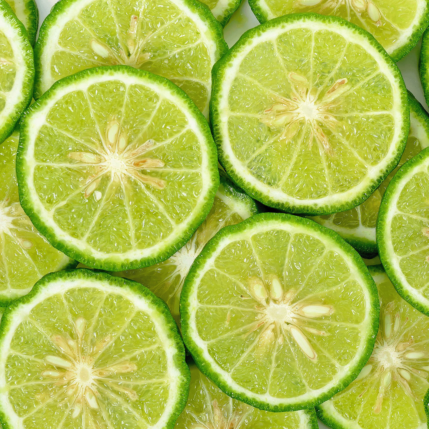 Tuscany Candle Sea Salt & Minerals: Mossy Kelp & Driftwood Scented Spring Candle, 18 oz