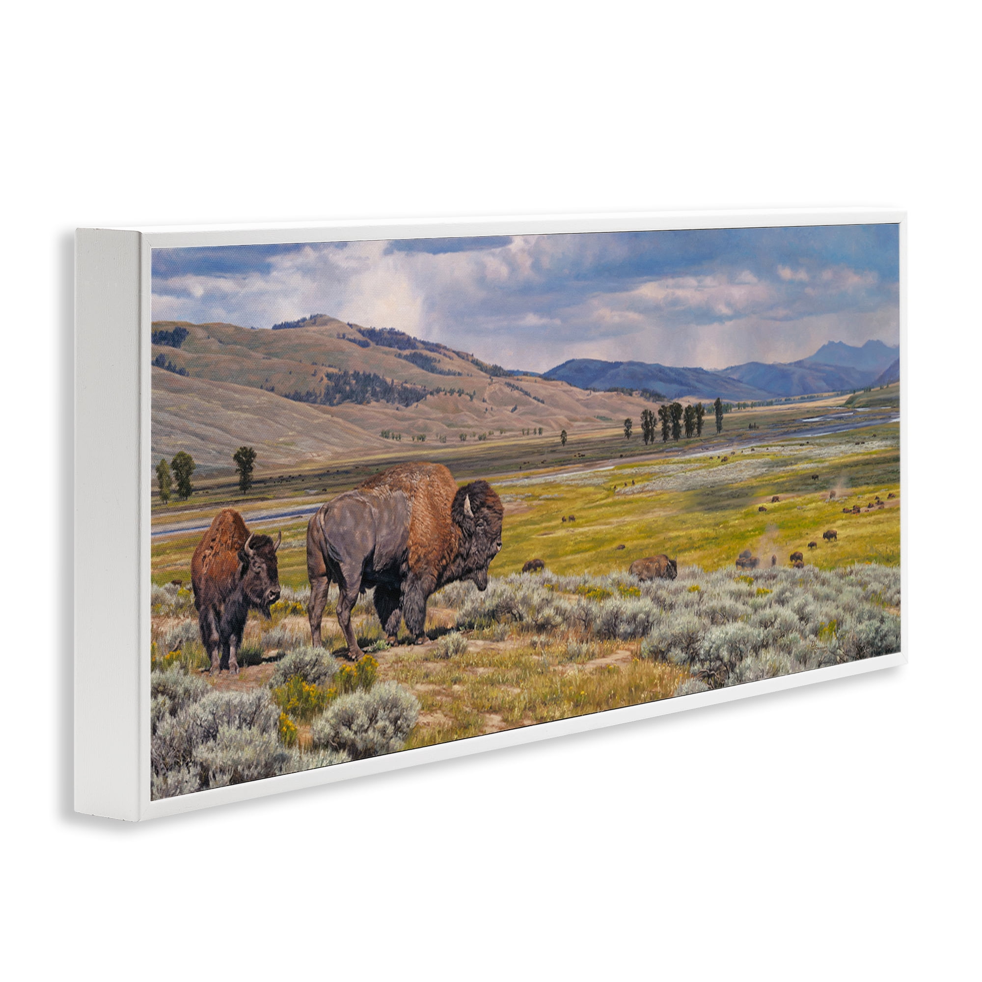 Stupell Industries Roaming Southwestern Bison Landscape Painting White Framed Art Print Wall Art, 24 x 10