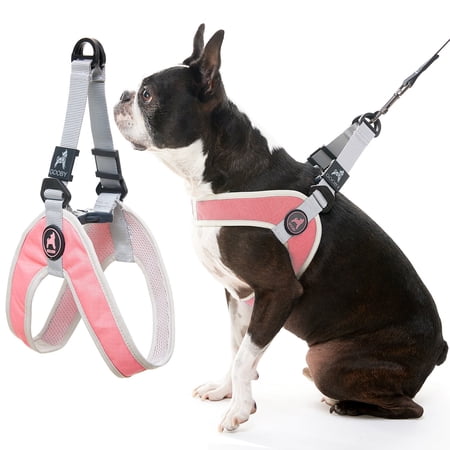 Gooby Simple Step in III Harness - Pink, Small - No Pull Small Dog Harness with Scratch Resistant Outer and Soft Inner Mesh Vest