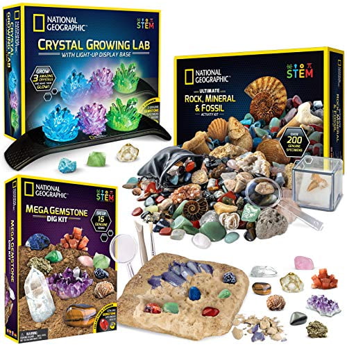 CrystalTears Fossil Collection Kit Natural Irregular Rock and Mineral Specimens Quartz Crystals Stones Box for Education Science 