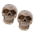 thumbnail image 1 of 2x s de Halloween, Resina Simución Modelo de cráneo Accesorio de Halloween Mini Espeluznante D CUTICAT Cráneo humano, 1 of 8