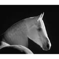 thumbnail image 3 of Dawson, Robert 14x12 Black Modern Framed Museum Art Print Titled - White Shadow, 3 of 5