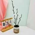 thumbnail image 3 of Simulation Wintersweet Potted Home Decoration Plastic Plant Ornaments, 3 of 9