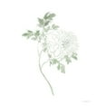 thumbnail image 3 of Kamdon Kreations 15x18 Black Modern Framed Museum Art Print Titled - If Love was a Flower, 3 of 5