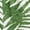 Palm Print, variant on Sofia Jeans Women's and Women's Plus V Neck Dress with Flutter Sleeves, Below Calf Length, Sizes XS-4X