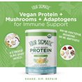 thumbnail image 3 of Four Sigmatic Organic Plant-Based Protein Powder Sweet Vanilla Protein with Lions Mane, Chaga, Cordyceps, and More | Clean Vegan Protein Elevated for Brain Function and Immune Support | 21.16 oz, 3 of 9