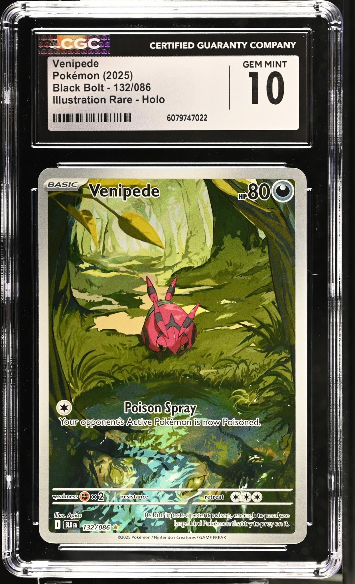 Pokemon Obsidian Flames Illustration Rare Charizard ex (PSA 9) - Walmart.com