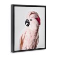 thumbnail image 2 of Stupell Industries Tropical Pink Cockatoo Photography Black Floating Frame Canvas Art, 17 x 21, by Sisi and Seb, 2 of 7
