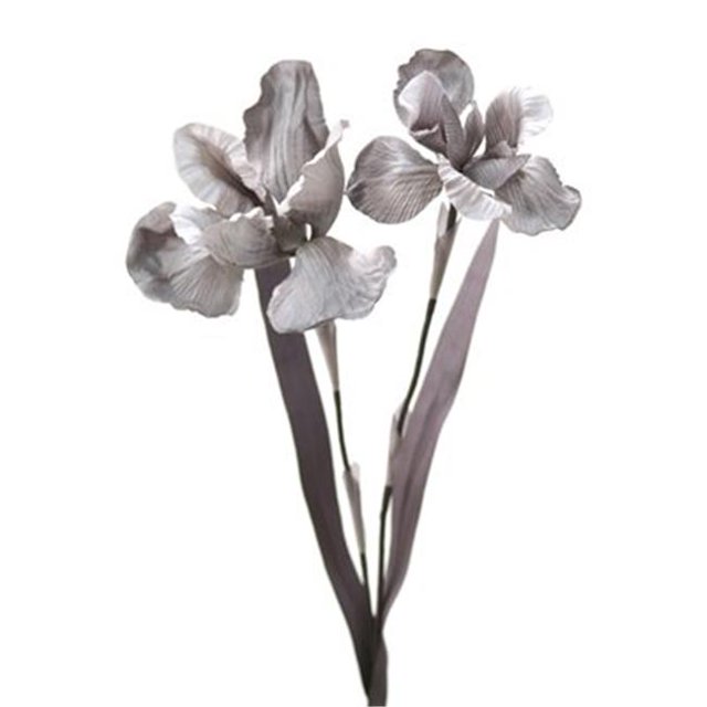 Distinctive Designs DW-876-GYDPGY DIY Fleur Gris Gris Foncé Double Iris - Pack de 4