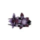 thumbnail image 4 of Horquilla De Doble Flor Con Diamantes De Imitación, Accesorios Para El Cabello A La Moda, Pasadores Para El Cabello Diy, Clips Para Mujeres Y Niñas Kearding CE007565-03, 4 of 6