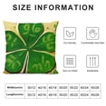 thumbnail image 5 of Pinch Proof Throw Pillow Covers,Cat ST Patricks Day Decoration for Sofa Couch, 5 of 5