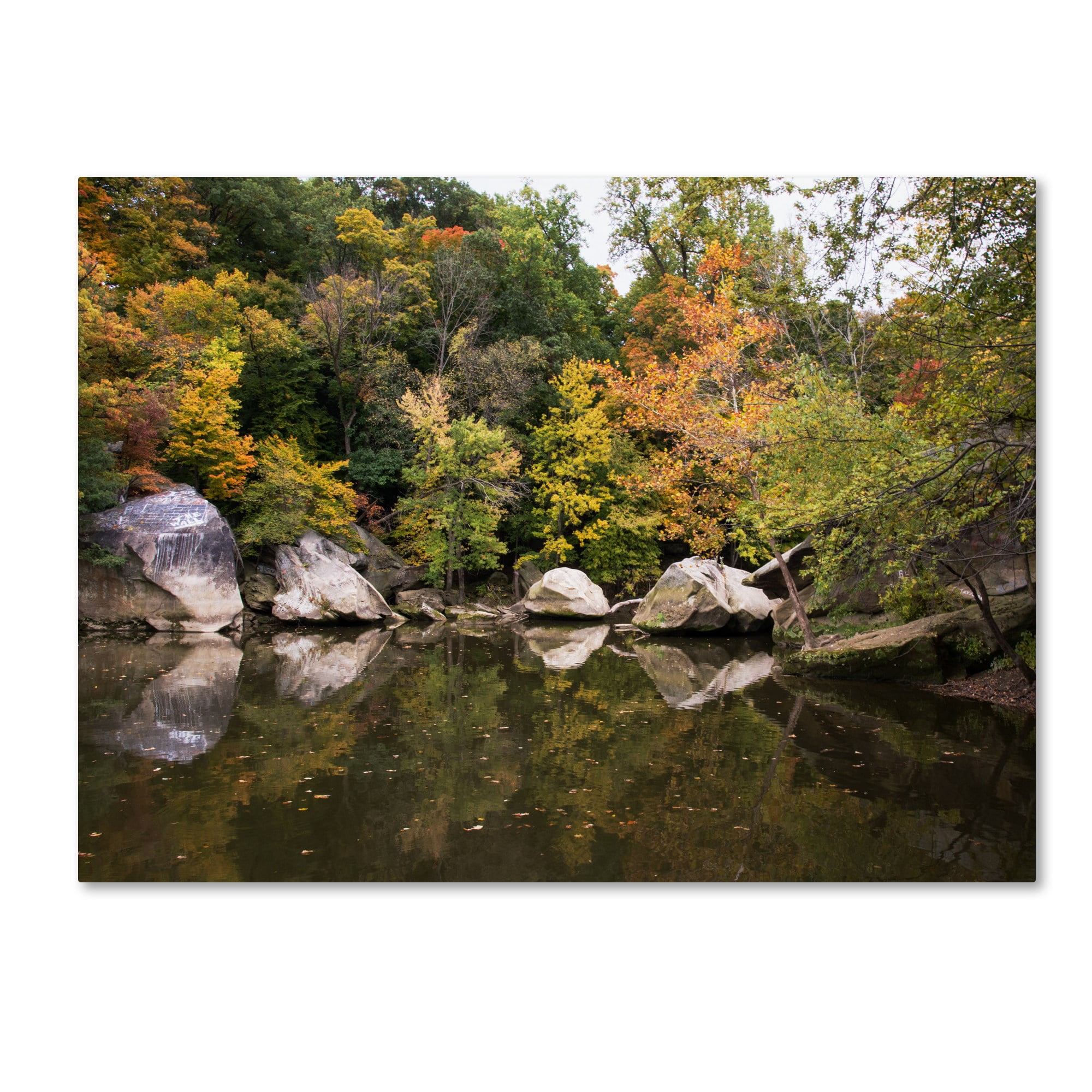 Trademark Fine Art "Graffiti Fall" Canvas Art by Kurt Shaffer