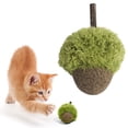 thumbnail image 4 of Hearth & Gear Toy Chewable Cat Toy With Hanging Loop For Cats And Teaser Wand Chatsworth Rack Catmint for Cats Catmint Chatsworth Rack Screws Catmint Live Catnipa Chatsworth Rack Shelf Catmint, 4 of 6
