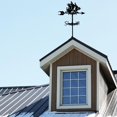 thumbnail image 4 of Iron Wind Direction Indicator Weathervane for Outdoor Garden Wind Measuring Tool Ship 260~265x358mm, 4 of 6