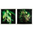 thumbnail image 2 of Botanical Photography Framed Wall Art - Set of 2 - 20"H x 20"W - Green/Black, 2 of 2