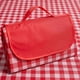 thumbnail image 4 of Large Picnic Blankets 60'x30' Waterproof Picnic Mat with Handle for Family Outdoor Camping Party, 4 of 5