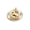 thumbnail image 5 of 14k yellow Gold Capricorn zodiac sign astrology Pendant charm fine jewelry 1.2g, 5 of 12