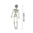 thumbnail image 6 of Nrmvnmi Halloween Scary Animal Skeleton Bat Skeleton Bat Decoration for Indoor/Outdoor Spooky Scene Party Favors Decor Holiday Décor Theme Party, 6 of 6