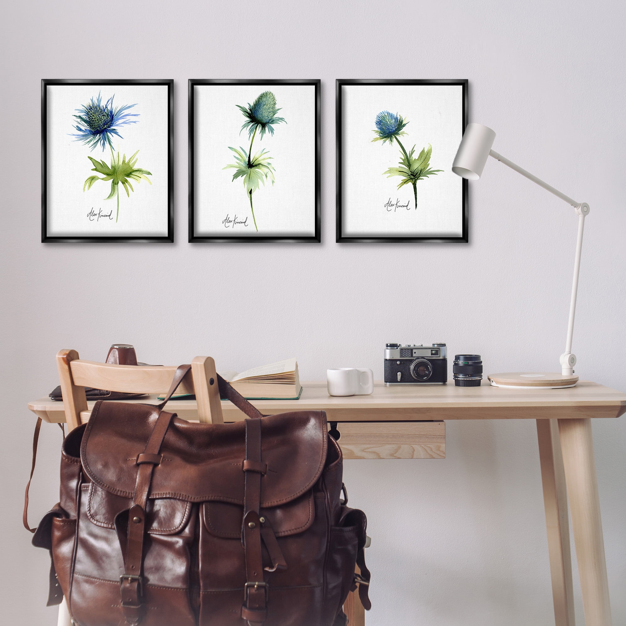 Stupell Industries Thistle Watercolors on White Botanical & Floral Painting Black Floater Framed Canvas Art Print Wall Art, 17 x 21, Set of 3