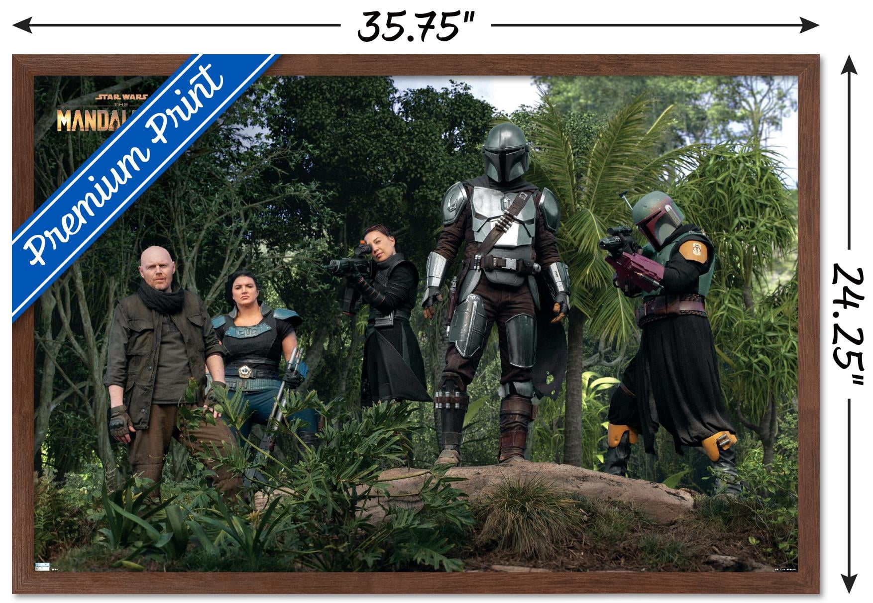 Star Wars: The Mandalorian Season 2 - Team Wall Poster, 22.375" x 34", Framed