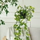 thumbnail image 5 of 3 plantas colgantes artificiales con macetas, enredaderas colgantes artificiales, plantas colgantes en macetas verdes, 5 of 8
