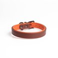 thumbnail image 1 of Juego de collar para mascotas Collar ajustable de cuero para cuellos de perros pequeños y medianos MFZFUKR CPB-US-YY123-2, 1 of 5