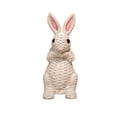 thumbnail image 1 of Figura de resina con textura tejida para decoración de festivales, adorno decorativo de conejito de Pascua, adorno diario para el hogar, adornos para decorar el hogar, decoración de habitaciones, deco, 1 of 1