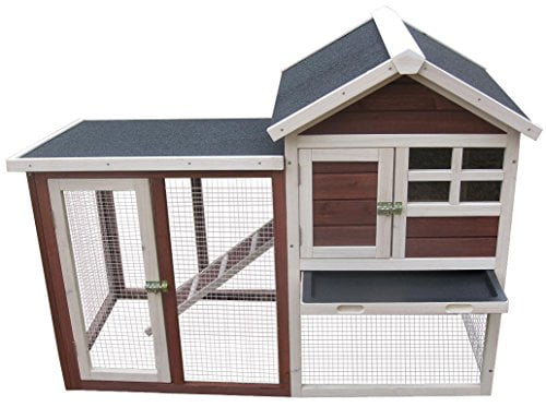 advantek stilt house rabbit hutch