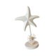 thumbnail image 1 of Decoración de estrella de mar de madera Figura de estrella de mar Arte Artesanía Adorno náutico de escritorio para Blanco, 1 of 9