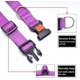 thumbnail image 4 of Collar de perro REFLECTANTE JAMW acolchado de nylon transpirable ajustable para perros pequeños y medianos, 4 of 5