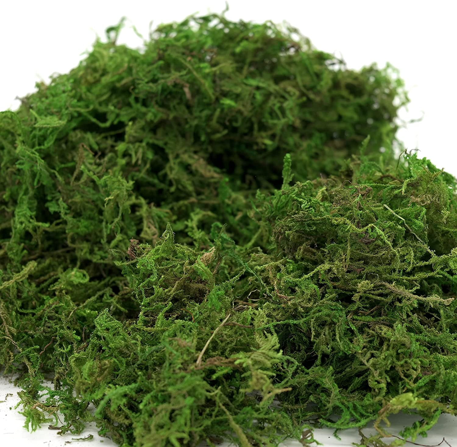 Artificial Moss 16oz – Fake Moss for Crafts, Fairy Gardens, Wedding & Party Decor, Centerpieces & Potted Plants (Fresh Green, 455g)