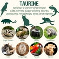 thumbnail image 4 of Taurine Powder 1 oz.  | Food Topper for Heart, Vision & Daily Wellness | Amino Acid Supplement for Small & Large Pets, 4 of 5