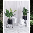 thumbnail image 2 of CHICHUMID 1Ud Soporte De Hierro Negro Para Plantas Duradero Para De Jardín Interior Y Exterior, 2 of 8