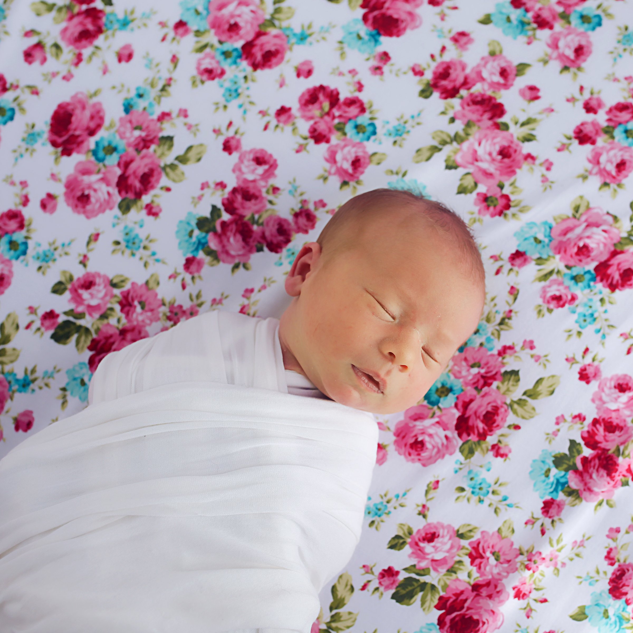 Kids N Such Infant Newborn Toddler Flower Jersey Deep Pocket Lightweight Washable Fitted Sheets Crib White 2 Pieces Walmart Com Walmart Com Kids N Such Infant Newborn Toddler Flower Jersey Deep Pocket Lightweight Washable Fitted Sheets Crib White 2 Pieces Walmart Com Walmart Com
