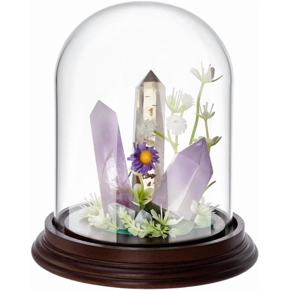 5.1x5.5 inch Glass Display Dome Cloche Glass Bell Jar with Wooden Base Decorative Clear Glass Dome for DIY handcrafting