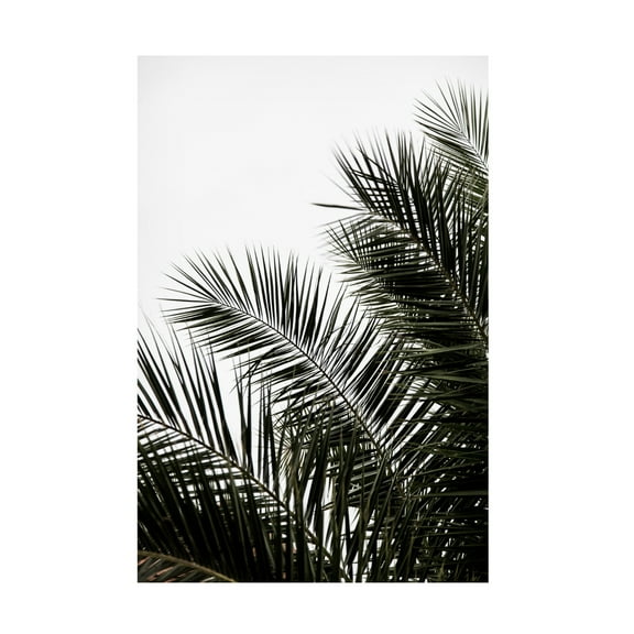 Trademark Fine Art Mareike Bohmer Palm Leaves 3 Canvas Wall Art