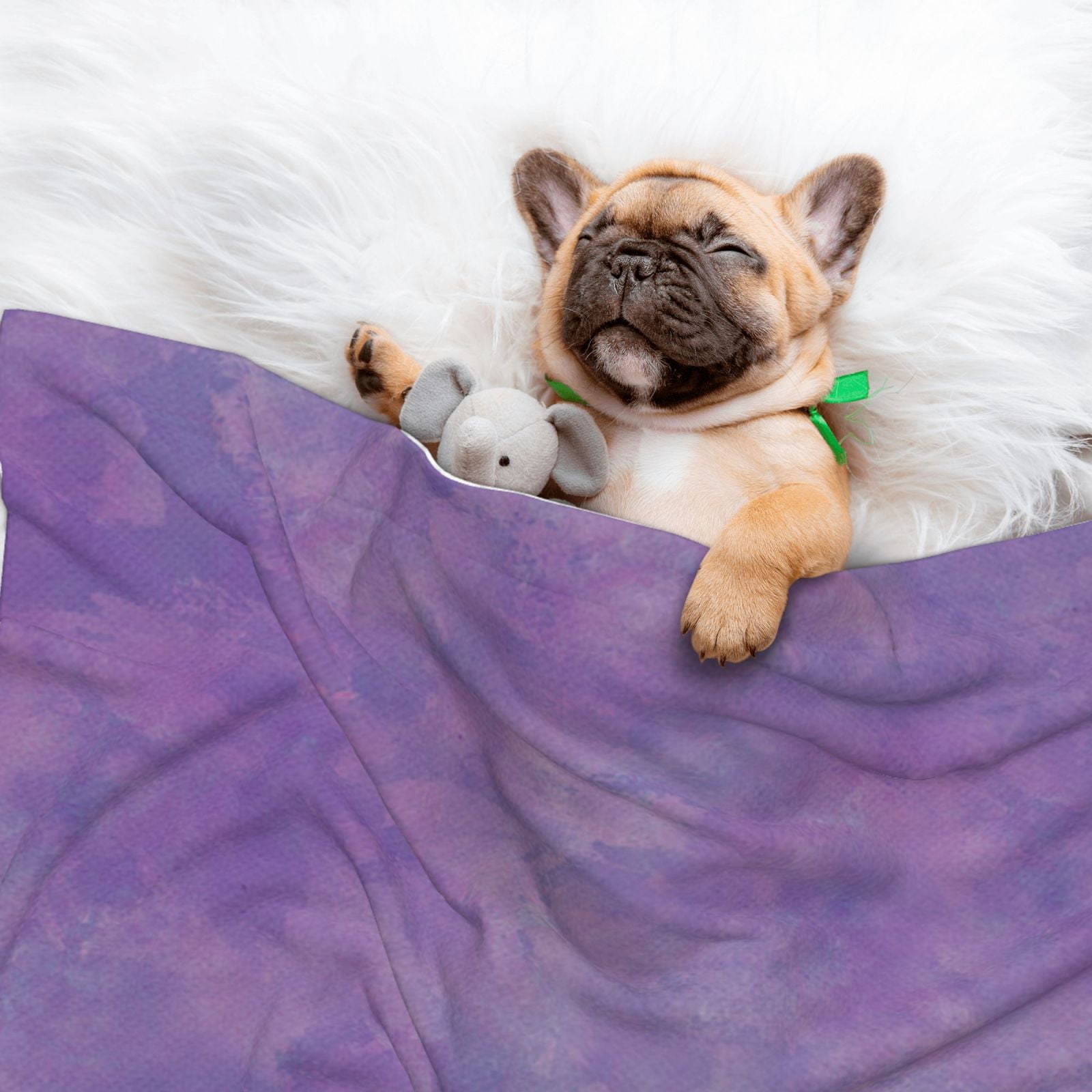 Flannel Throw Dog Blanket Purple Paint Soft Warm Print Pet Blankets for Small Dog Cat Puppy