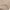 Khaki, variant on Zshosam Pants for Girls Elastic Waist Bell Bottom Flare Leg Long Pants(Khaki,8-9 Years)