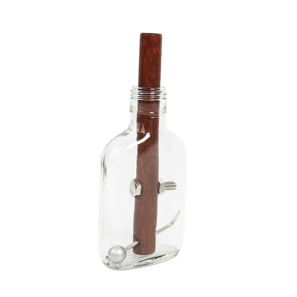 Glass Bottle Puzzle and Disentanglement 3D Puzzles Brain