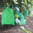 thumbnail image 2 of 50pcs Grape Protection Bag Anti-Bird Vegetable Fruit Protect Breeding Bags, 2 of 9