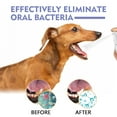 thumbnail image 1 of 2pcs Tooth Cleaning Spray For Cats And Dogs, Remove Tooth Stains Fresh Breath Pets Oral Care Spray, 1 of 5