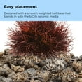 thumbnail image 5 of biOrb Crimson Sea Lily - Aquarium Plant Decoration, 5 of 8