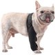 thumbnail image 3 of Rodillera para perros con Acl, dislocación de la rótula, la artritis mantiene la articulación caliente reduce el dolor y la inflamación, 3 of 5