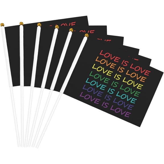 Love is Love Gay Pride Flag 5x8 In Outdoor Decoration Handheld Stick Flags Six Piece