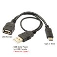 thumbnail image 4 of chenyang USB C OTG Cable USB 3.1 Type C to USB 2.0 OTG Data Cable with USB Power, 4 of 4