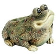 thumbnail image 1 of Kenzie Jardinière Toad, 1 of 1