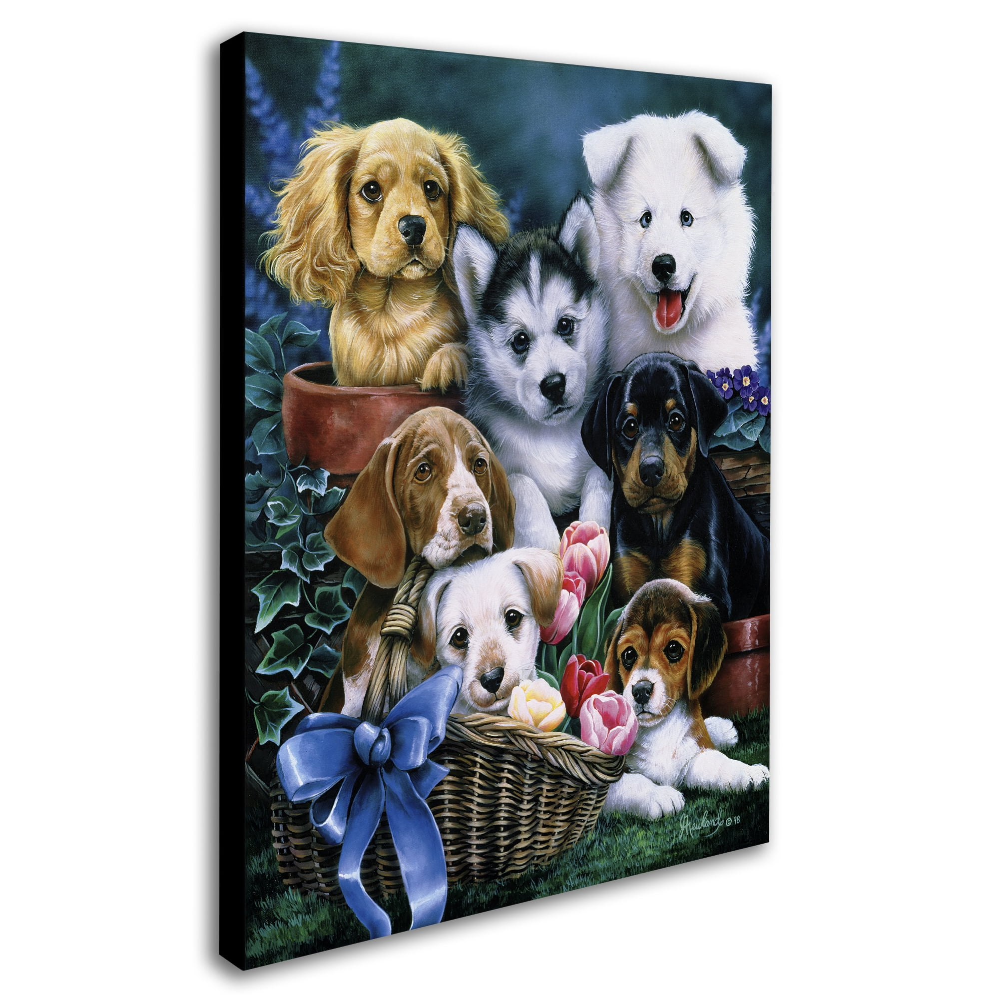Trademark Fine Art 'Puppies' Canvas Art by Jenny Newland
