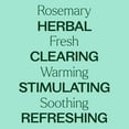 thumbnail image 4 of Plant Therapy Rosemary Essential Oil 100% Pure, Undiluted, Natural Aromatherapy, Therapeutic Grade, 100 mL (3.3 fl oz), 4 of 8