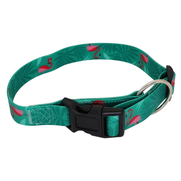 Collier pour Chien - Adapté aux Petits et Grands Chiots - Accessoire Rembourré pour Chiots et Grands Chiens - 20 mm
